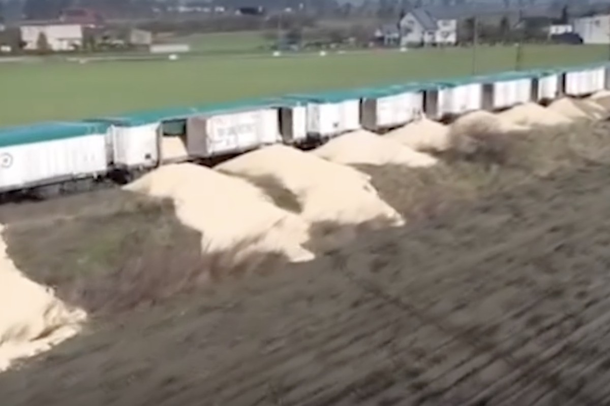 В Польше уничтожили 160 тонн украинского зерна, шедшее транзитом
