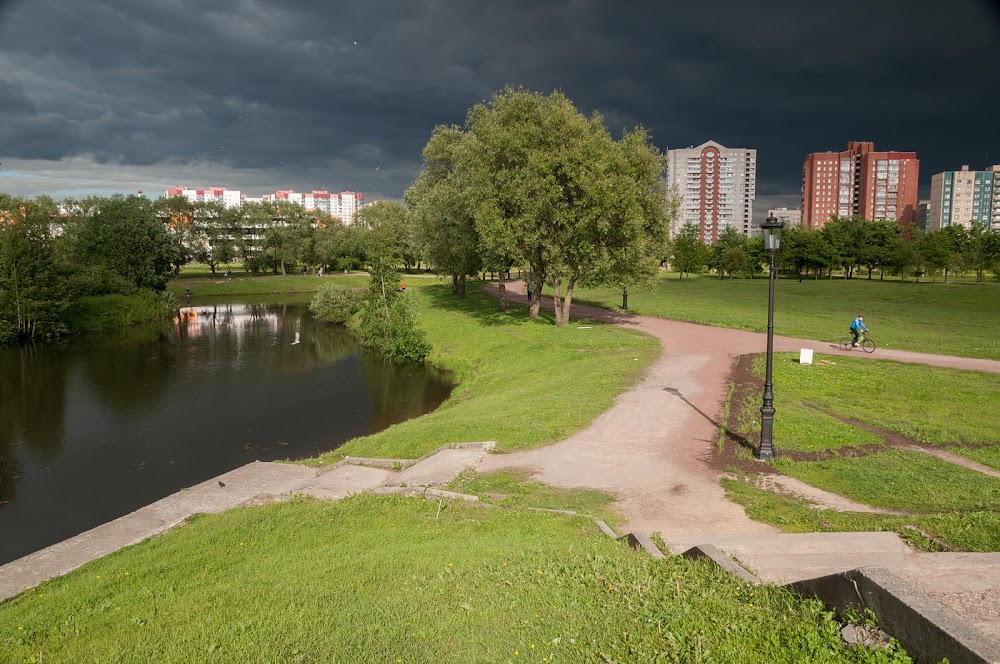 Парк Малиновка сократят вопреки обещаниям Беглова 