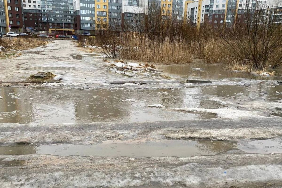 Самый теплый за 14 лет январь в Петербурге не смог повлиять на качество снегоуборки в городе