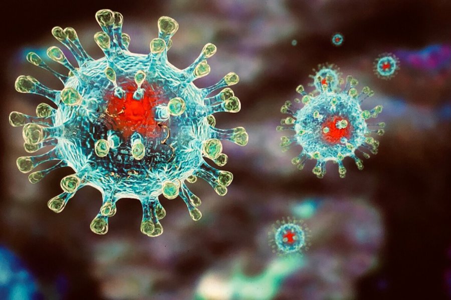 Китай опубликовал данные о новом пекинском коронавирусе