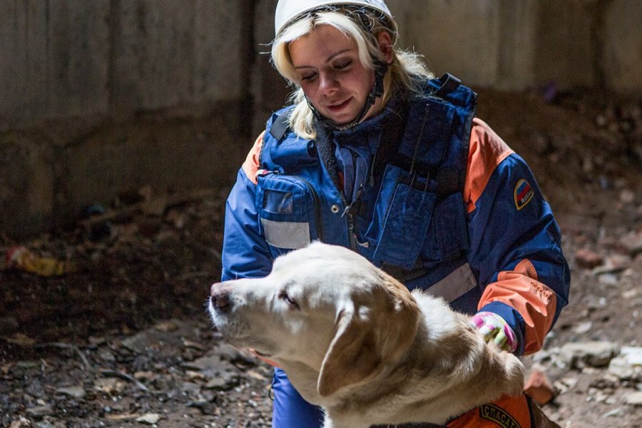 В Москве собаки с начала этого года помогли спасти 25 людей