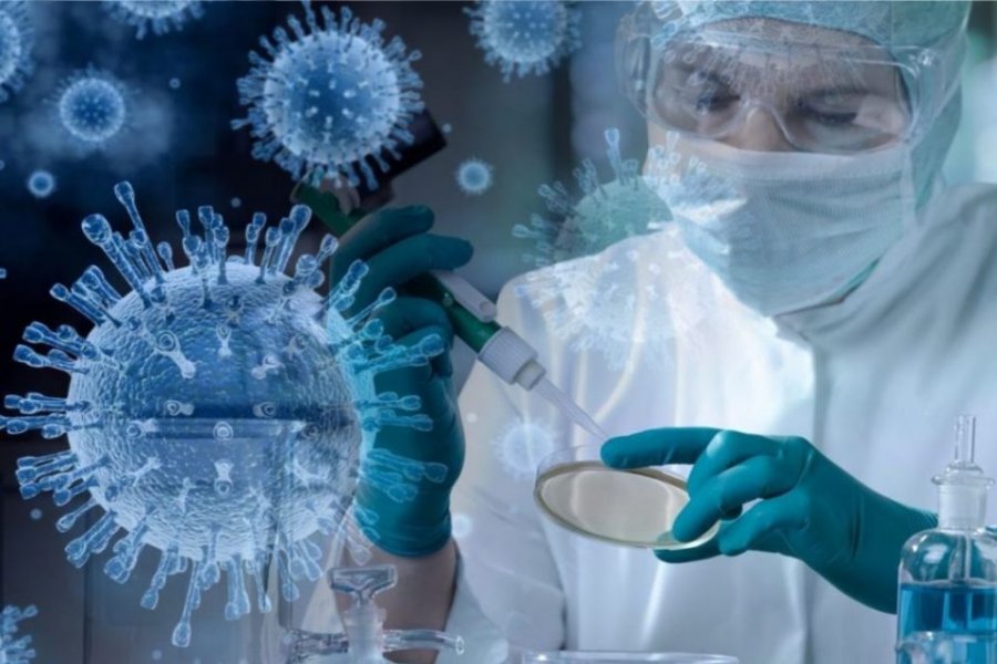 Вирусолог Волчков: Эксперименты с NeoCoV могут привести к новой пандемии