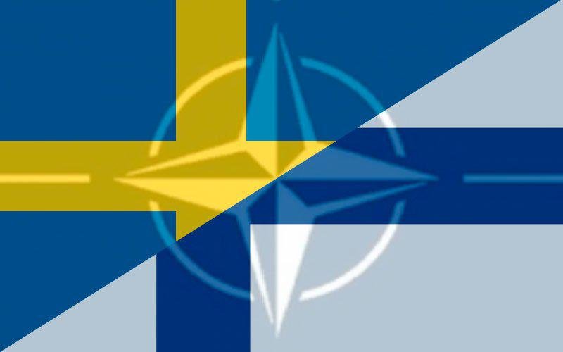 Военный эксперт Алехин заявил, что о Швеции с Финляндией должны думать политики и дипломаты
