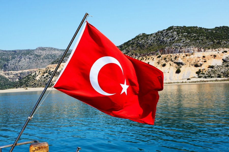 Брутер сообщил, что Турция является единственным союзником НАТО у Черного моря